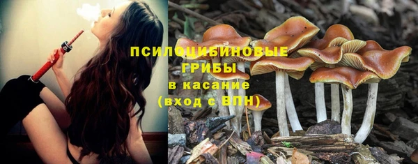 мдма Ладушкин