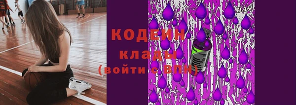 прущий лед Лиски
