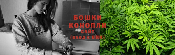 МДПВ Великий Новгород