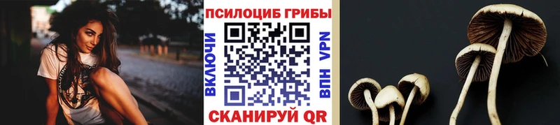 Галлюциногенные грибы GOLDEN TEACHER  Купить закладки  Петушки 